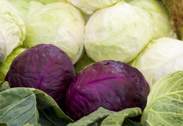 Nieznane oblicza kapusty Uroda, Moda, Zdrowie, Kuchnia, Psychologia